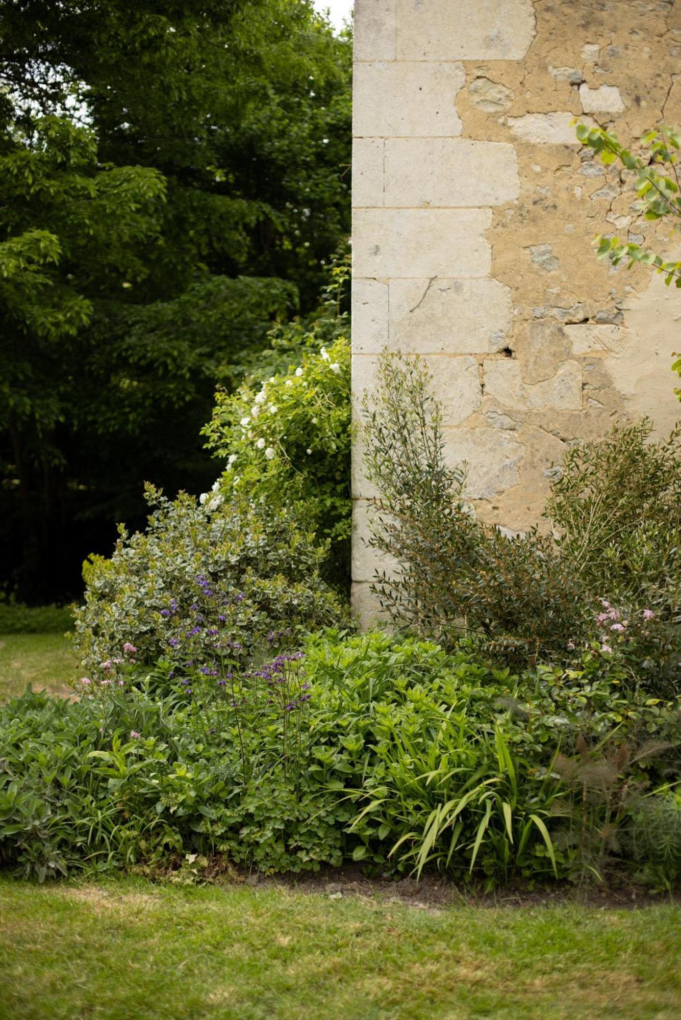 Hotel Le Manoir Du Plessis Dance  Zewnętrze zdjęcie