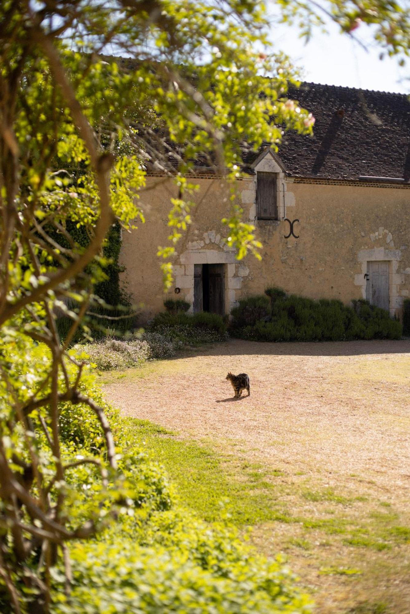 Hotel Le Manoir Du Plessis Dance  Zewnętrze zdjęcie