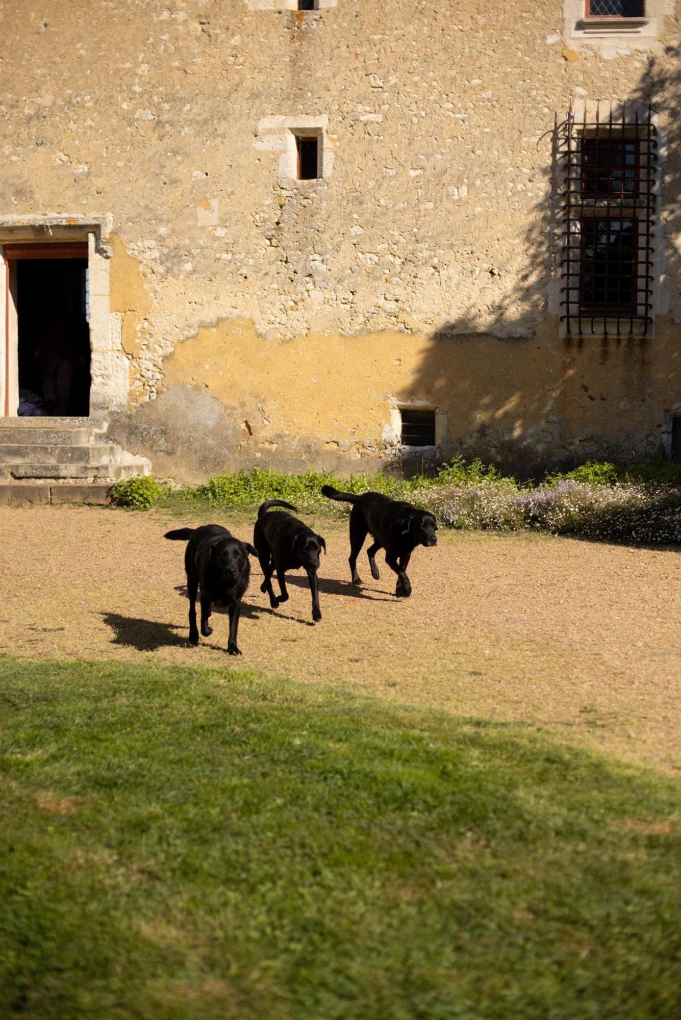 Hotel Le Manoir Du Plessis Dance  Zewnętrze zdjęcie